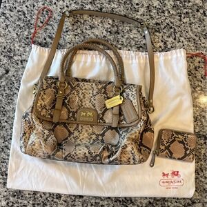 Authentic COACH Madison Flap Carryall #19638 Embossed‎ Python Leather + Wallet